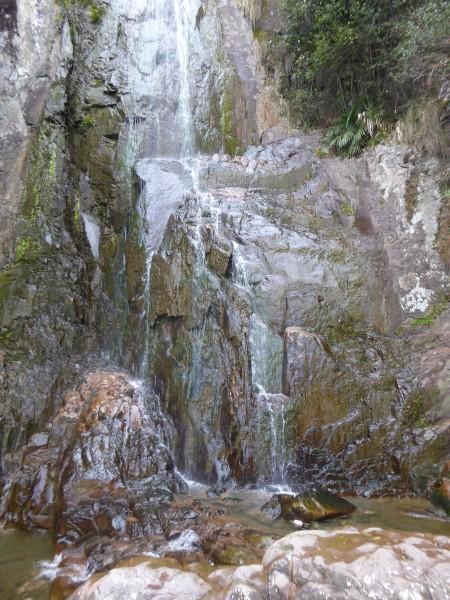 64岁倪萍辟谣整容传闻：岁月无痕，容颜自然。